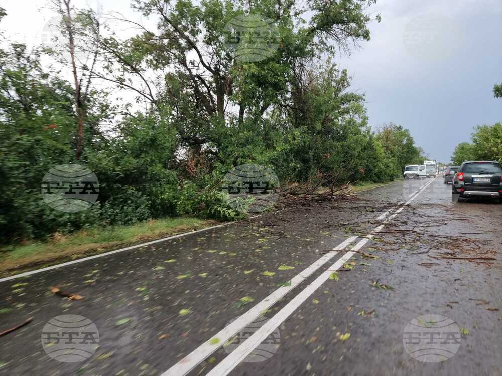 Бурята в Русенско остави пет населени места временно без електрозахранване, прекърши и множество клони
