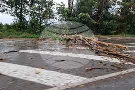 Русе - буря - пътно платно - паднали клони