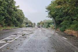 Русе - буря - пътно платно - паднали клони