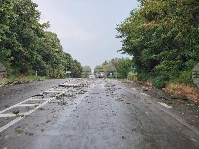 Затворени пътища на Халкидическия полуостров заради проливни дъждове