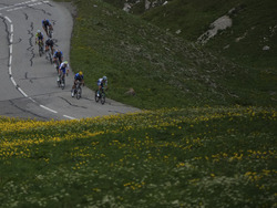 Cycling Tour de France