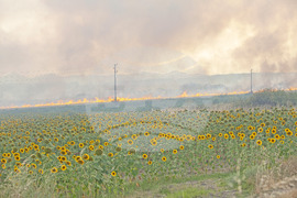 Свиленград - пожар - ГКПП