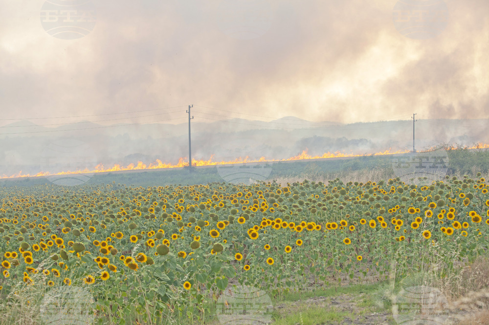 Свиленград - пожар - ГКПП