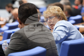 Парламент - заседание