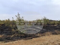 Снимка: Община Стара Загора