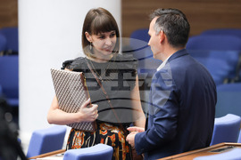 Парламент - заседание