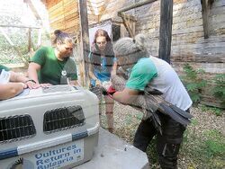 Снимка: Община Стара Загора