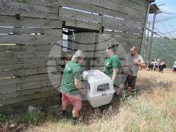 Снимка: Община Стара Загора