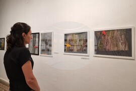 Варна - Светослава Георгиева - изложба - живопис