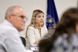 Пловдив - Областна администрация - пресконференция - Нина Колева