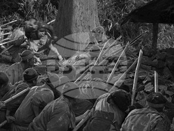 Film - Seven Samurai