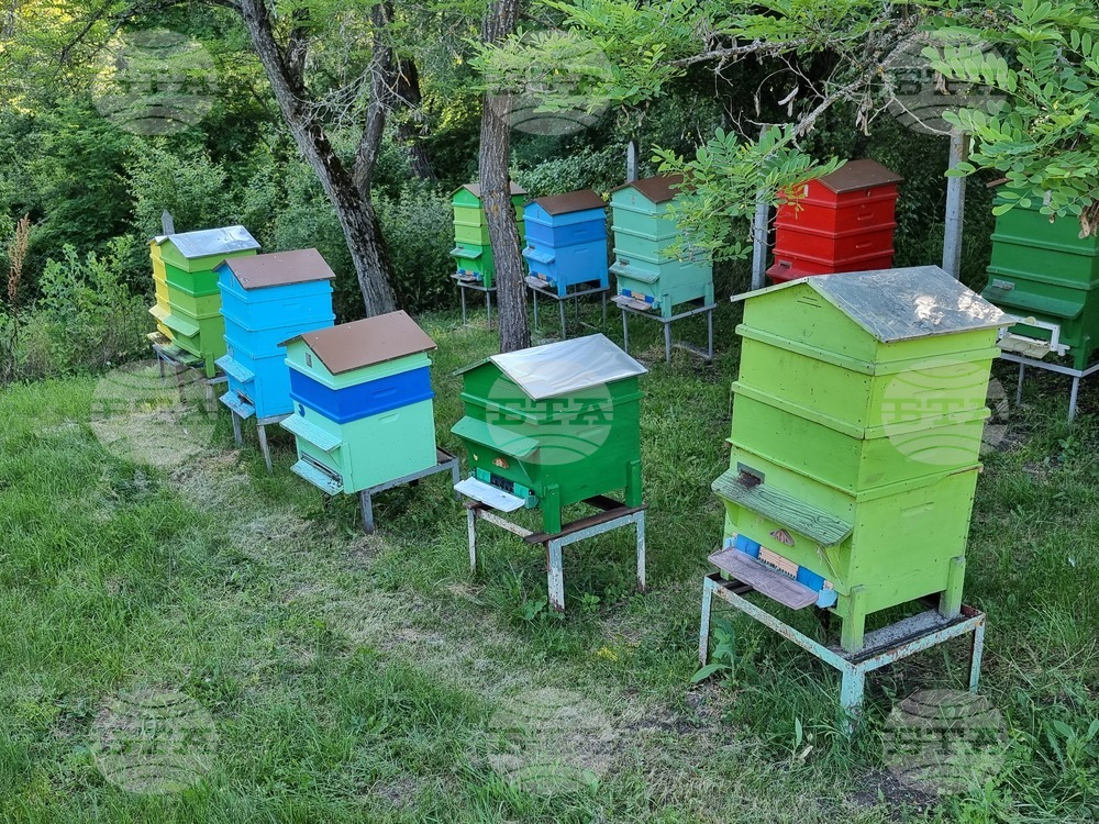 Писмата за одобрение по агроекологичните и биологични интервенции за Кампания 2024 вече са достъпни в Системата за електронни услуги на ДФЗ