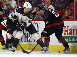 Coyotes Hurricanes Hockey