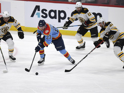 Bruins Panthers Hockey