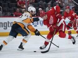 Predators Red Wings Hockey