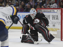 Blues Sabres Hockey