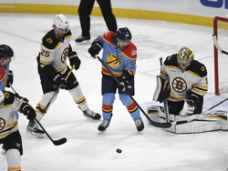 Bruins Panthers Hockey