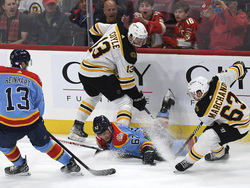 Bruins Panthers Hockey