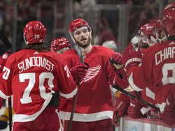Predators Red Wings Hockey