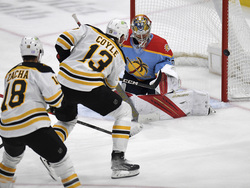 Bruins Panthers Hockey