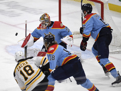 Bruins Panthers Hockey