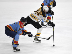Bruins Panthers Hockey