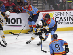 Bruins Panthers Hockey
