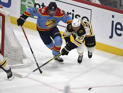Bruins Panthers Hockey