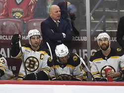 Bruins Panthers Hockey