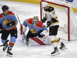 Bruins Panthers Hockey