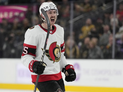 Senators Golden Knights Hockey