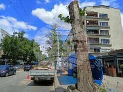 Снимка: Община Плевен