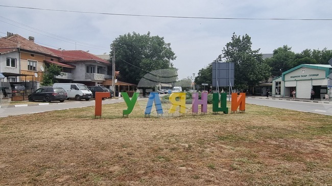 Съветниците в Гулянци ще гласуват общинска програма за овладяване на популацията на безстопанствените кучета