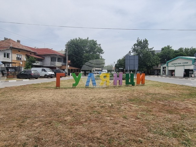 Съветниците в Гулянци ще гласуват общинска програма за овладяване на популацията на безстопанствените кучета
