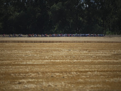 Cycling Tour de France
