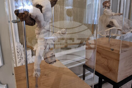 Плевен - театрален фестивал "Шарено петле" - откриване