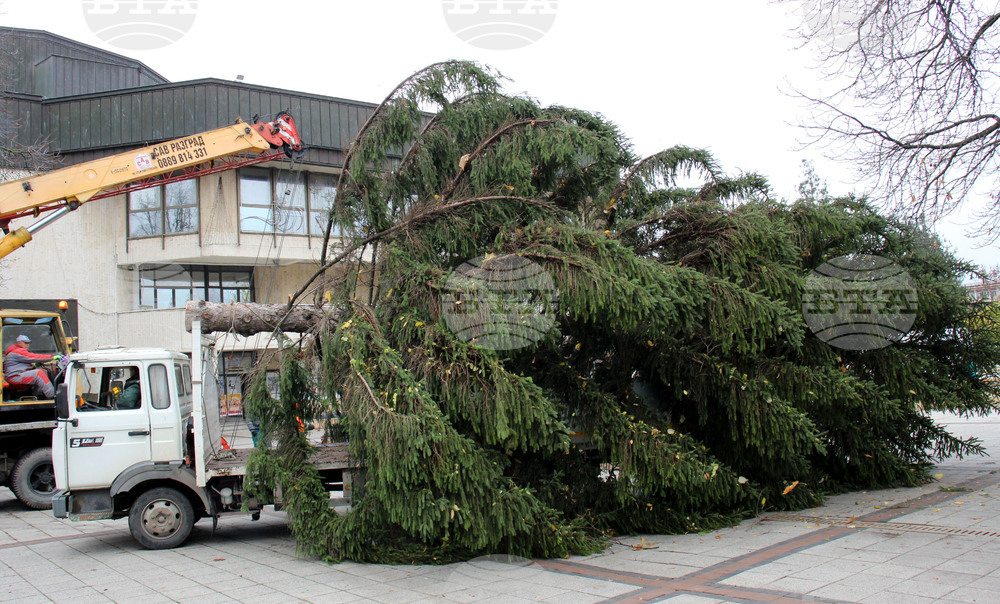 Разград - Коледна елха