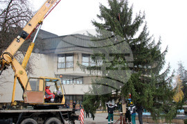 Разград - Коледна елха