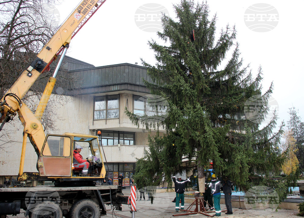 Разград - Коледна елха