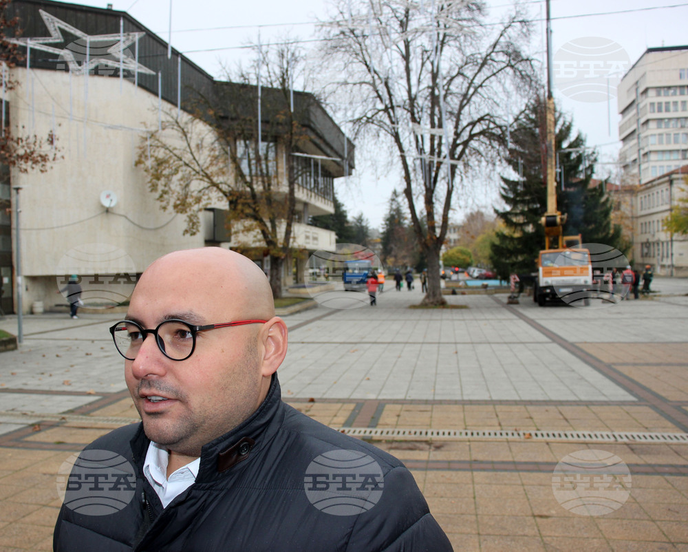 Разград - Коледна елха