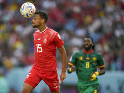 WCup Switzerland Cameroon Soccer