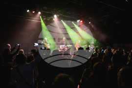 Германия - Фондацията - концерт