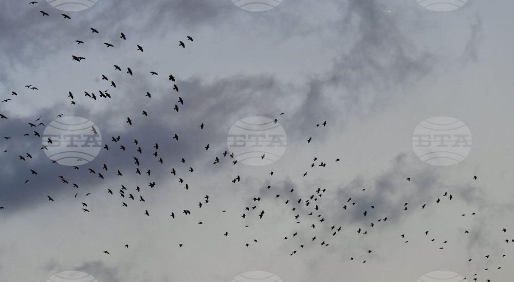 Прогноза за времето