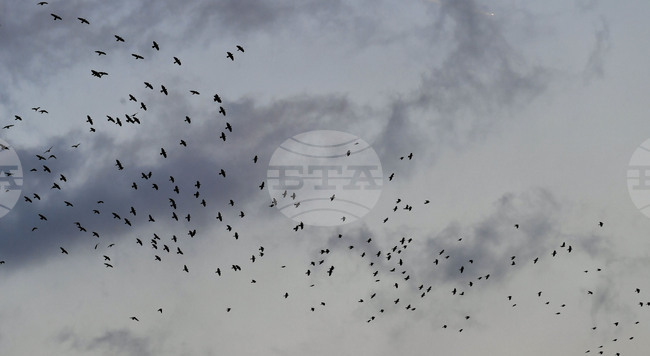 Прогноза за времето