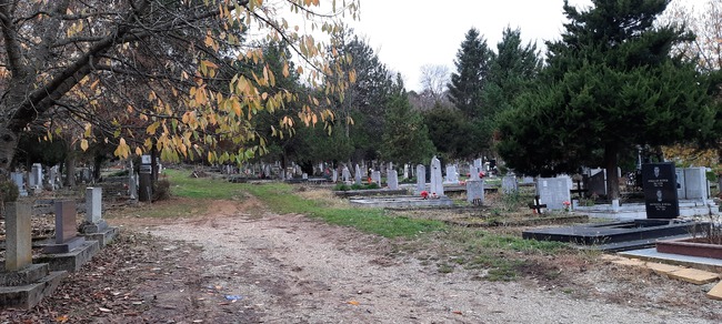 Община Ловеч: Граждани благодарят за почистването на гробищен парк „Стратеш“ в Ловеч