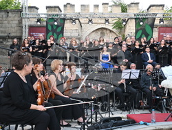 Снимка: Община Видин