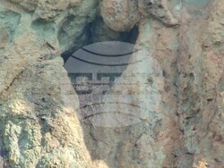 Снимка: Българско дружество за защита на птиците 