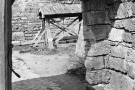 Средновековната крепост „Баба Вида“ край Видин