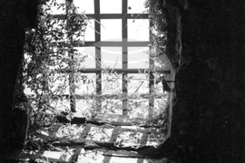 Средновековната крепост „Баба Вида“ край Видин