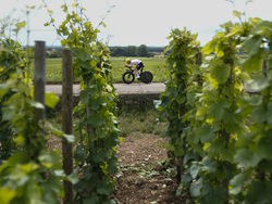 Cycling Tour de France